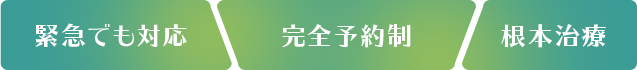緊急でも対応 完全予約制 根本治療